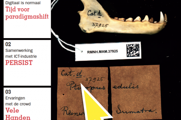 Schermafbeelding 2017-10-11 om 21.11.03
