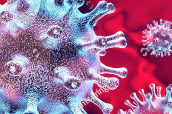 Schermafbeelding 2020-03-11 om 08.51.33