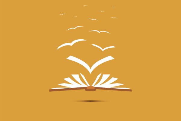 shutterstock_2069587892 kopie